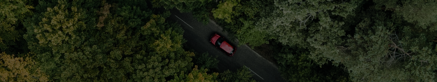 Red car on road from above through trees