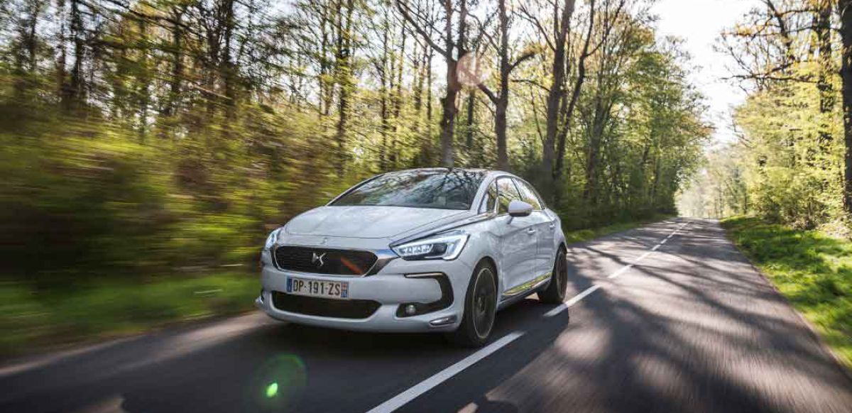 DS driving through a tree covered country road