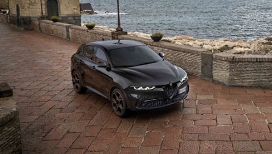 Front view of an Alfa Romeo Tonale in Alfa Black parked in front of the sea.