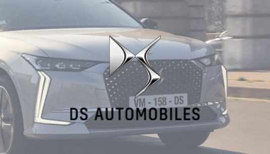 Greyscale DS logo with car in background