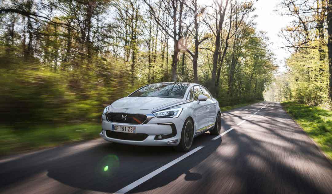 DS driving through a tree covered country road